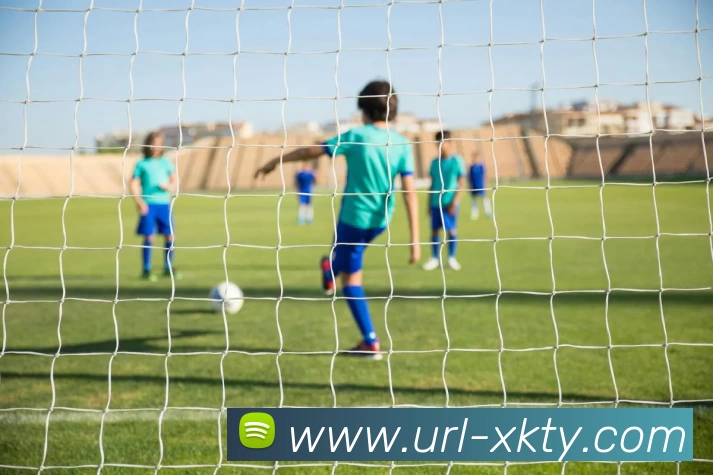 星空体育APP 高清赛事图